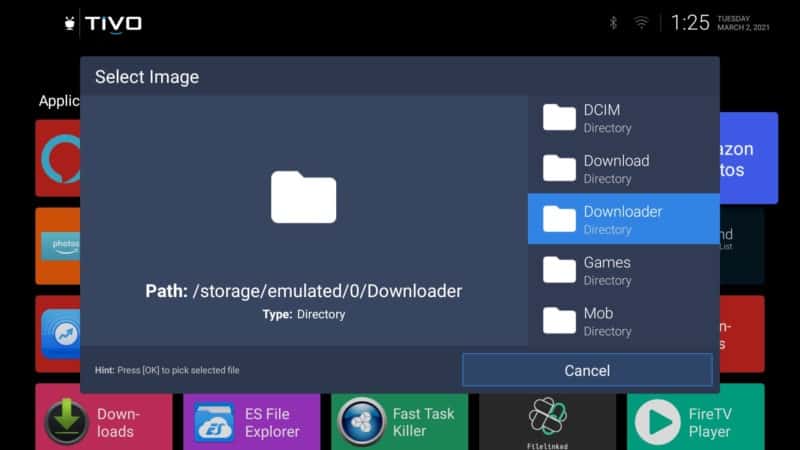 downloader file on Wolf launcher app
